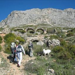 Medico CSI Calp