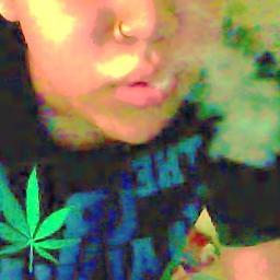 southern born, midwest raised, cali livin smokin js 3 never ending quest for music