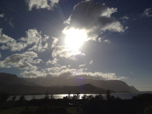 D0ug_P's profile picture. 