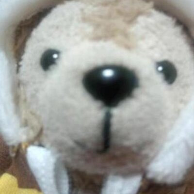 ジョニコ