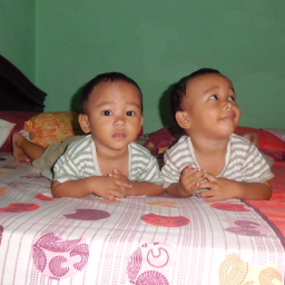 ASSSSPd's profile picture. 