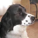 Dan Egan - @DanielTEgan - Twitter