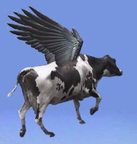 If a bird in the sky drops some whitewash in your eye, do not fret, do not cry. Just be thankful cows can't fly.