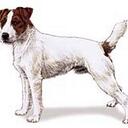 gerry fitz - @gerryfitz - Twitter