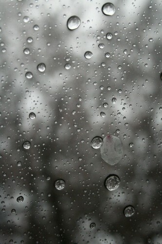 Itswarmdays's profile picture. 187cm / 허벅지 탄탄함 / 사이즈 괜찮음