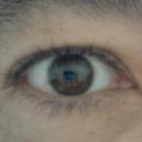 KnoelWester Profile Picture