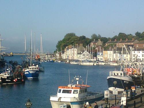 Wholesale Fresh, Local, Seasonal and Sustainable fish. Our fish is from small inshore boats which land their catch to us daily. Judge at the Great Taste Awards