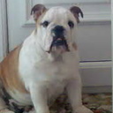 Howard Walker - @Janwalker24 - Twitter