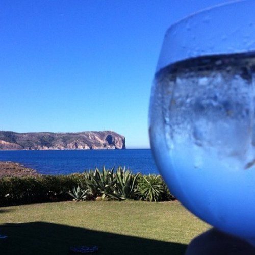 fede_alcacer's profile picture. 