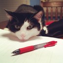 Gerry Hill - @gerry_hill - Twitter