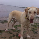 Tom Duarte - @VigilantPI - Twitter