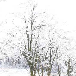 Baldorb68's profile picture. 