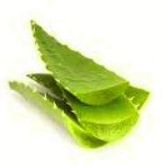 Natures own gifts to help you to a healthier and wealthier life style