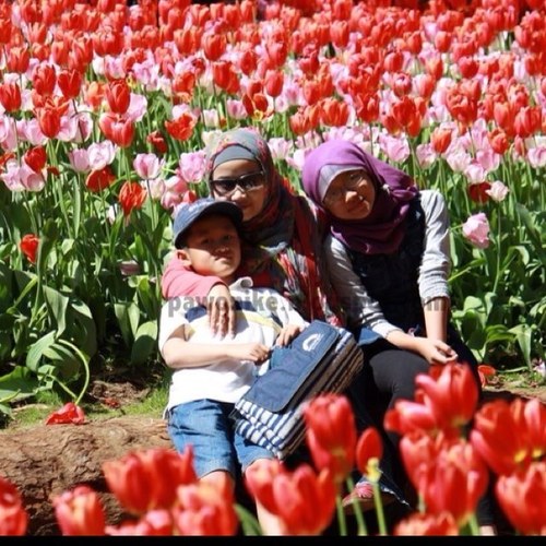 pawon_ike's profile picture. loves family, loves foods, loves photography, its me...:D