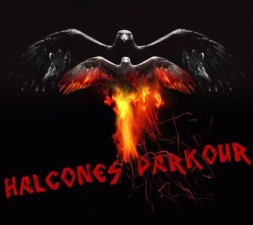 Twitter official del grupo de parkour HALCONES PARKOUR en este twitter subiremos fotos, enlaces de nuestros videos y muchas mas cosas. ¡¡Siguenos!!