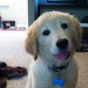 Laura Temp - @Temporaryawesom - Twitter