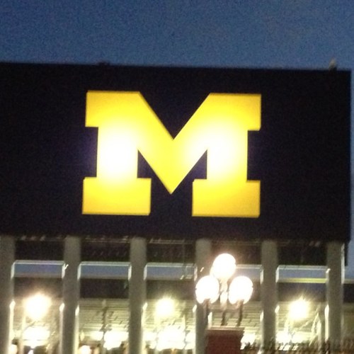 msattel88's profile picture. 