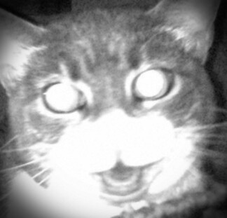 nlmccraw's profile picture. 