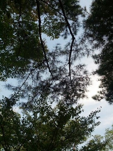 bamboo98765's profile picture. 홍보회사 옆 대나무숲, 새벽 6시 출근 신문*온라인 이 잡듯이 뒤지기. 오후 6시 자리에 앉아 업무 시작. 결혼은 커녕 연애할 수 있을까. 비번은 poiu0987.