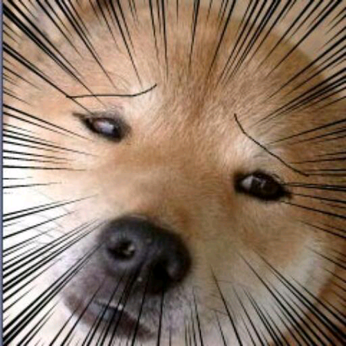 だらだらしてます