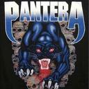 Olivia Nyman - @meanGbean - Twitter