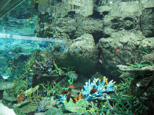 mymethod5's profile picture. 