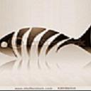 Dylan Chandler - @sillykatz11231 - Twitter