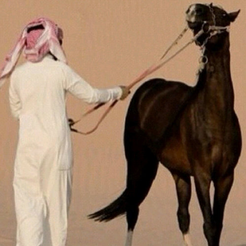 مآ جيت للتويتر أدور علآقآت ولآ جيت أشگي للنآس جرحي أنآ جيت أغرد عن مآ في خآفقي بآلذآت وأتميز بطرحي♥-لك حريه المتآبعه ولي حريه الكتآبه♡