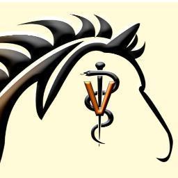Northeast Texas Equine Services is a veterinary practice specializing in the equine athlete and providing innovative products and educational materials.