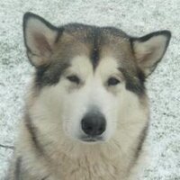 DadDaryll 💙 (@byeto55forever) 's Twitter Profile Photo