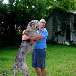 DrDiesel3's profile picture. 