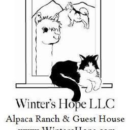 Winter's Hope Alpaca Ranch & Lodging near Taos Ski Valley. Home grown, hand spun and heart Felt; Utilizing holistic approaches for all. Located in Northern NM