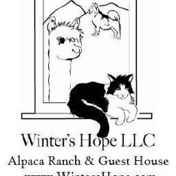 Winter's Hope Alpaca Ranch & Lodging near Taos Ski Valley. Home grown, hand spun and heart Felt; Utilizing holistic approaches for all.  Located in  Northern NM