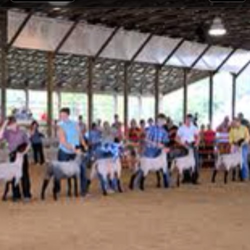 FairCounty's profile picture. 