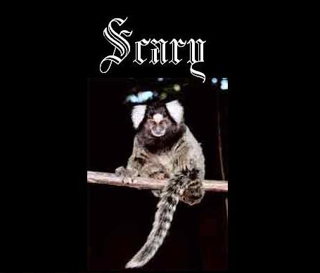 h311r47's profile picture. 