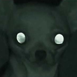 DarkJohnny666's profile picture. I hate everything. Redding music and movies is the home of most of my current disdain.