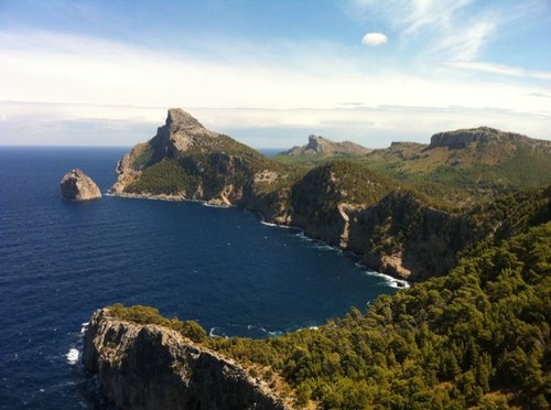 jdcaniego's profile picture. 