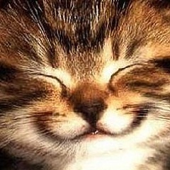 New to twitter! Will follow ANYONE. I appreciate the followbacks #smiles
