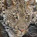 ida joyce wangui - @konvictbabe - Twitter