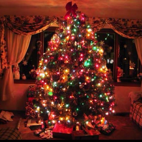 Christmas__love's profile picture. Tis' the season