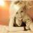 sidonietenzinx's profile image