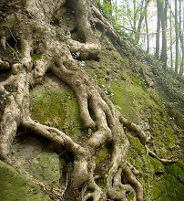 berucrafts's profile picture. I love to color, draw or to make cards. Live in Switzerland.
I am a member in follow DT
@whimsystamps | USA
@magengodesigns | Germany
@basteltraum | Switzerland