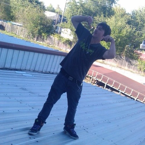 Bark up my tree thats a dead dog