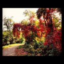 Chris&Dina - @CD_trace - Twitter