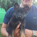 Xavier Morales - @xavimarian - Twitter