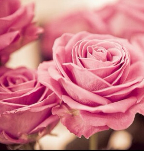 SoA7md's profile picture. سنرزق ، سنسعد ، سننسى وسنعوض بكل ماهو جميل في يوماً ما . ♥️💭