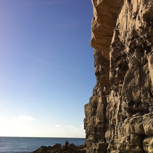 Serious MotoGP Fan; Rock Climber; Culture Vulture; Slightly Unhinged