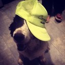 Rex Randolph Lee - @RexRandolph - Twitter