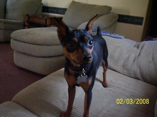 WickedInkz420's profile picture. O.G. JUGGALO