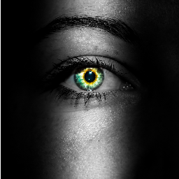 DanSnaps's profile picture. Photography